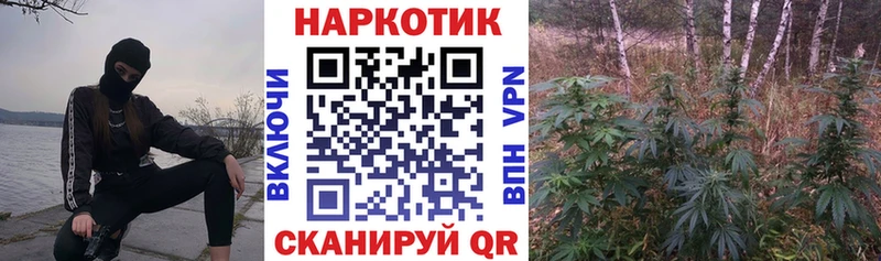 Какие есть наркотики Владивосток гидра как войти  A PVP  ГАШ  Канабис  МЕФ  Cocaine 