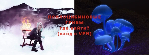 соль ск Алексин
