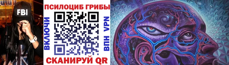 mega ТОР  наркошоп  Владивосток  Псилоцибиновые грибы прущие грибы 