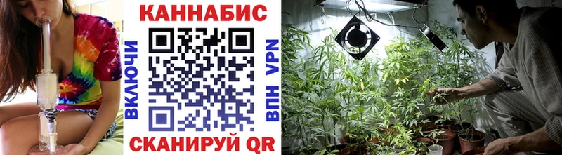 купить наркоту  Владивосток  Бошки Шишки семена 
